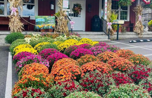 Historic Farm Cottage on 800-Acre Orchard - Foto 34