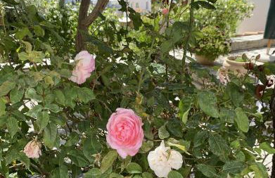 Aegean Panorama Hideaway & Pool in Samos - Foto 32