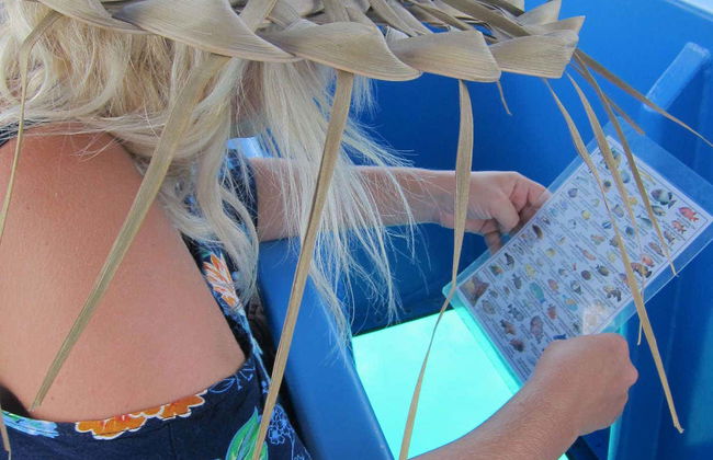 Giro in barca con fondo trasparente - Foto 8