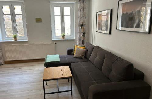 Sandstein-Ferien, FeWo "Biela", gemütlich, zentral, Terrasse, familienfreundlich - Foto 14