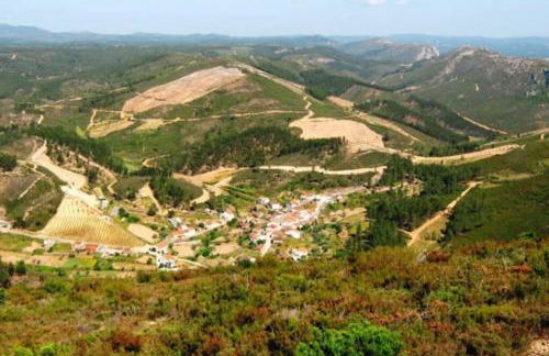 Palheirinho - Foto 24