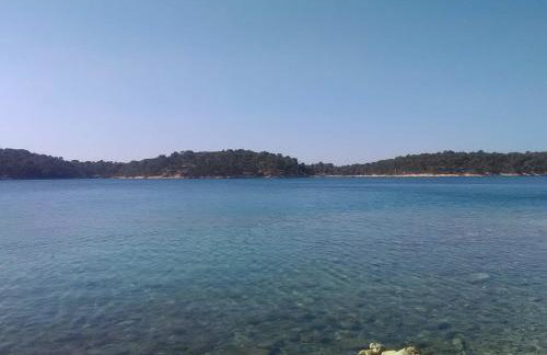 Apartments Mlacovic - Photo 19