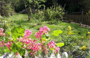 Villa Hanne mit Garten - Foto 28