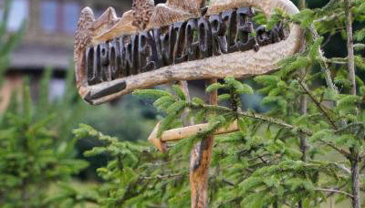 Lipowe Wzgórze Limanowa - Foto 4