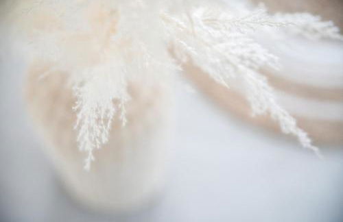 IseoLakeRental - Seliera - Photo 28