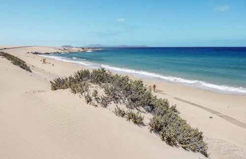 El Cortijo - Photo 23