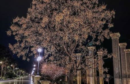 B&b AmMarí. Appartamento - Bilocale. - Foto 28