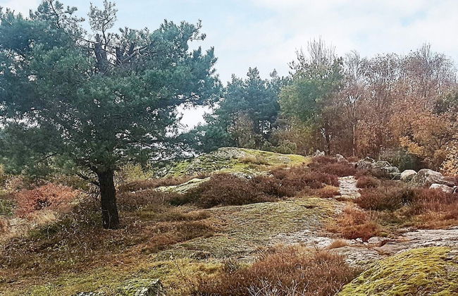 4 Person Holiday Home in Kyrkesund-by Traum - Foto 28