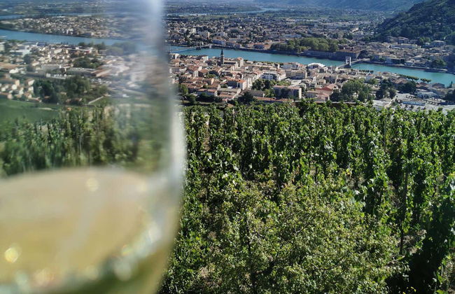 Tour de viñedos y bodegas por el valle del Ródano - Foto 2