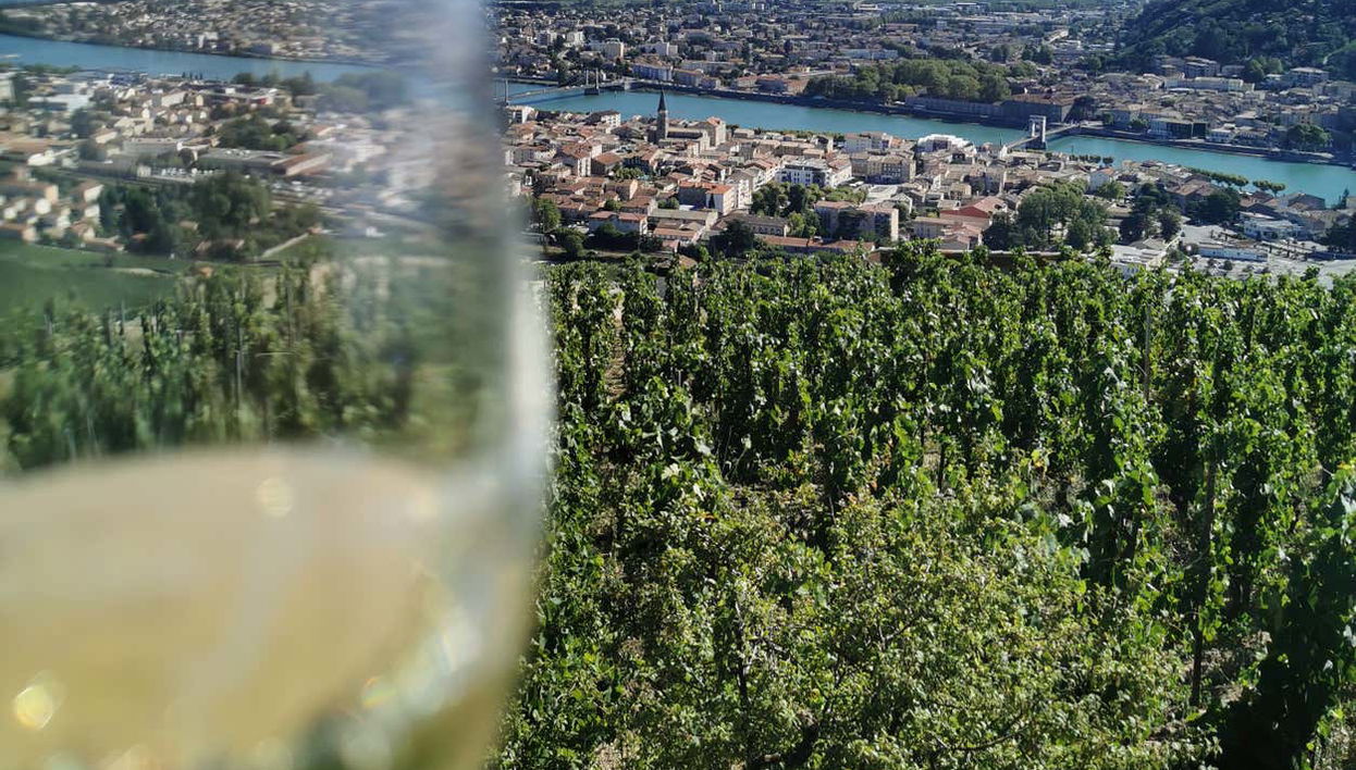 Rhone Valley Wine Tour - Foto 2