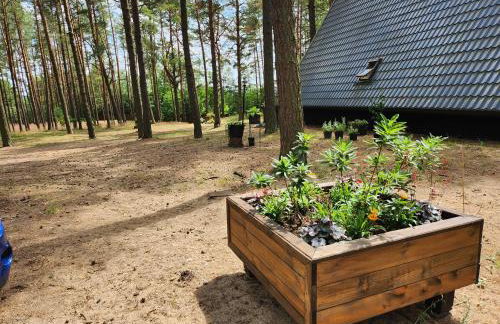 Jak Tu Sielsko - Foto 21