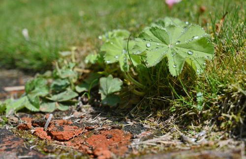 Landhaus Vilmnitz - Wohnung 8 - Foto 41