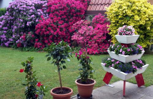 Ferienwohnung Neubacher - Foto 3