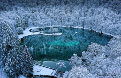 Le Cosy Fleuri - Foto 25