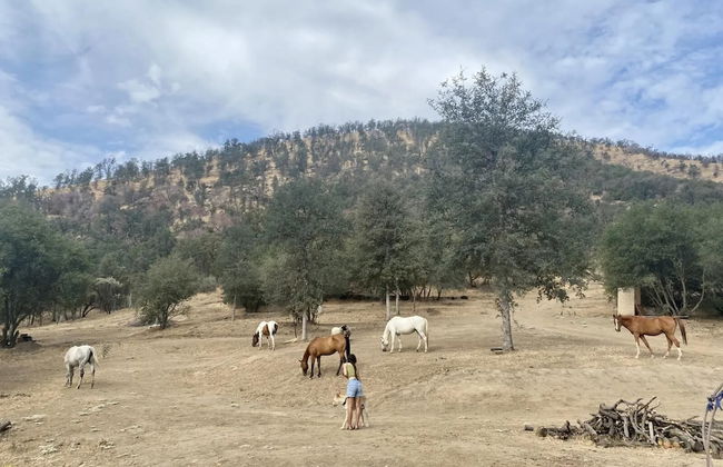 Off-grid 1-bed Cabin in Yokuts Valley - Foto 25