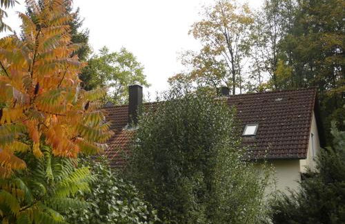 Goldener Fuchs in Moschendorf - Foto 7