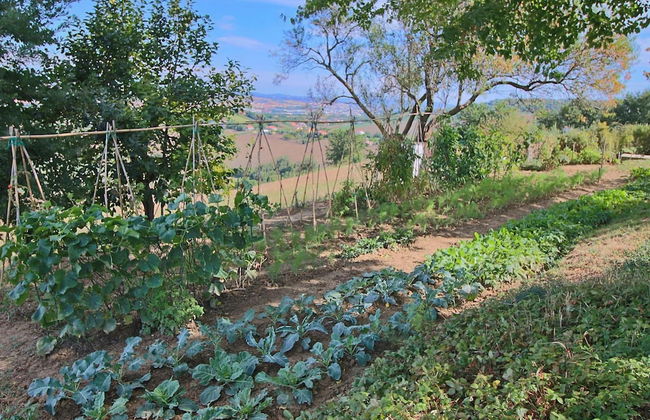 Cottage in Montelabbate With Pool & Forest - Foto 31