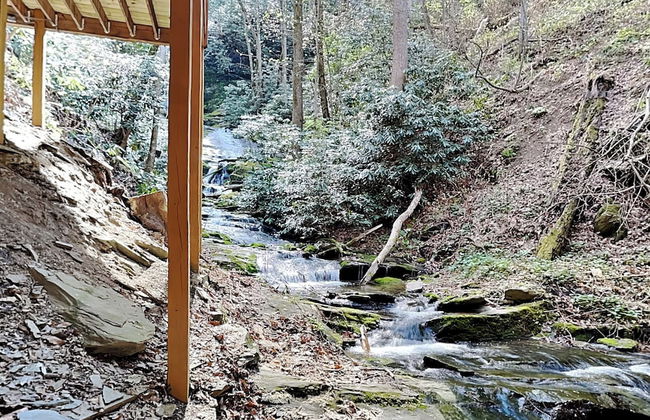 Black Bear Lodge - Foto 49