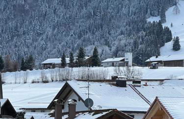 Exklusive FeWo AllgäuStern Steibis mit WLAN Sauna Kamin und Oberstaufen PLUS Card mit SKIPASS - Foto 10