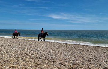 Seagull Cottage - Suffolk Coastal Escapes - Foto 46