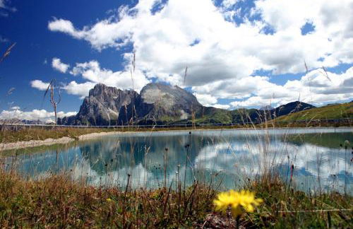 Tomasoethof - Foto 21