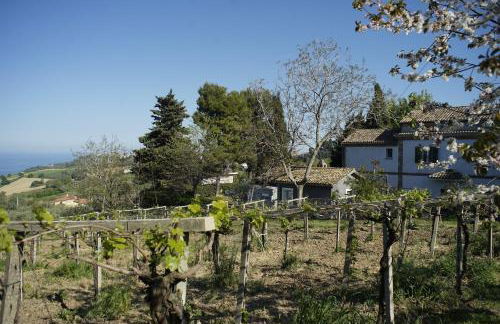 PODERE Sant'Anna B&B -Bambù room - Foto 28