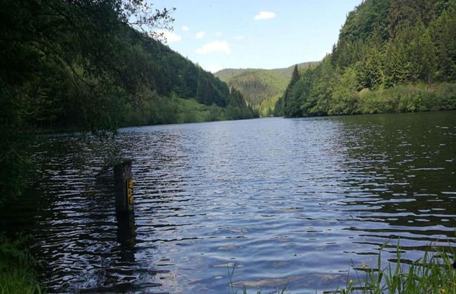 Small and Cozy Apartment in Frauenwald near Forest - Foto 37