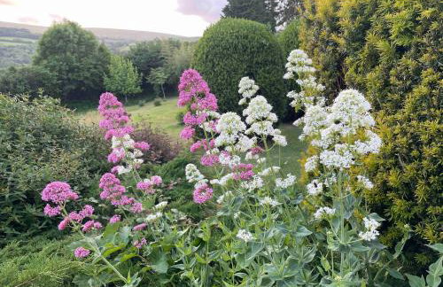 Walkers Retreat with garden and views - Photo 30