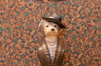 The Park At Holyrood - Photo 28