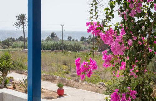 Firoa Studios - Photo 30