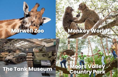 Cosy Retreat Near New Forest - Foto 37