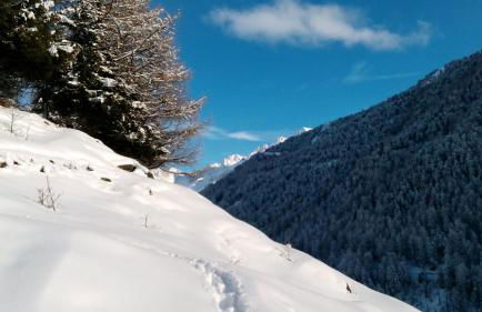 Beim Gruber - Foto 25