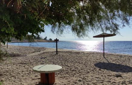 Urbi Garden - Foto 12