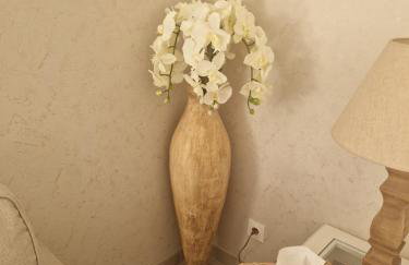 VILLA Soleil et Douceur - Foto 15