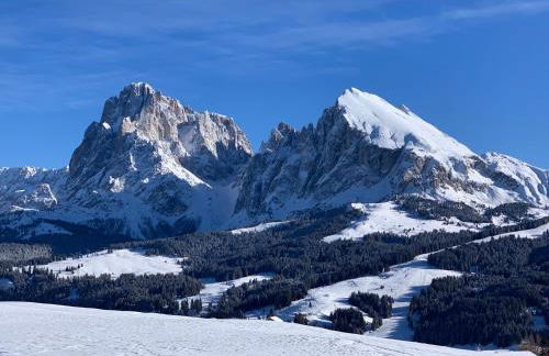 Residence Villa Schlern - Foto 36