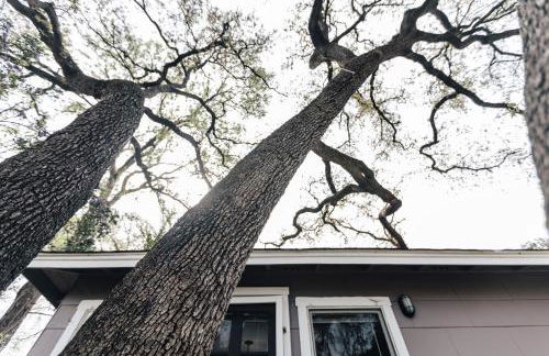 Magical Creekside UT Treehouse Walk to Moody Center - Foto 28