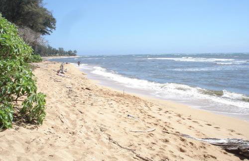 Islander on the Beach Unit 244 - Foto 15