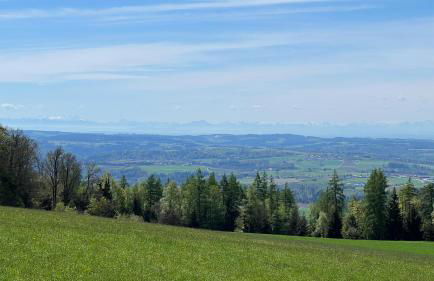 Berg-Panorama-Ferienwohnungen Gut-Lichtenau - Foto 64
