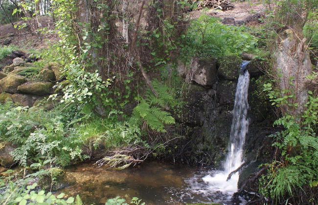 Holiday Home in Covas Near Serra da Estrela - Foto 21
