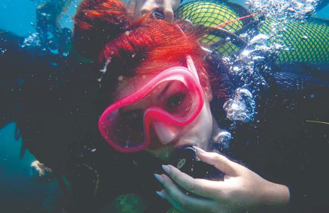 Immersione per principianti a Ilhabela - Foto 4