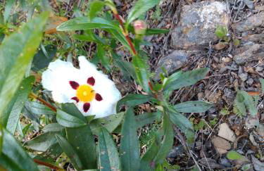 Casa Rural del Corral - Foto 47