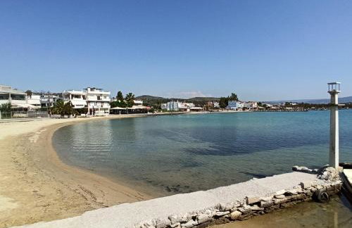 Λευκό γιασεμί - Νέες Παγασές Βόλος - Photo 23