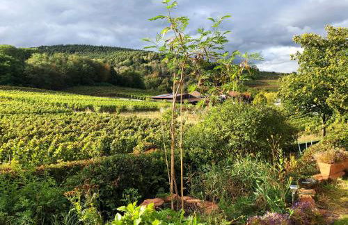 Apartment Am Weinberg by Interhome - Foto 36