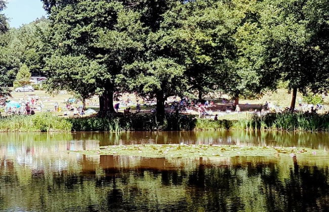 Charmantes Ferienhaus mit Naturgarten - Foto 35