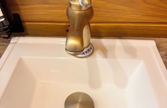 Into the Wild - Foto 16