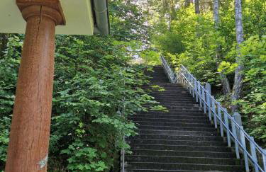 Wiele Żurawi - Foto 32