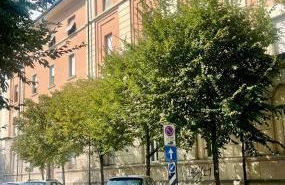 PiANO NOBILE - Foto 34