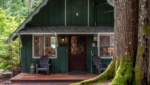 Fog & Fern Hideaway - Cozy Cabin w Private Hot Tub near Mt Rainier - Foto 2