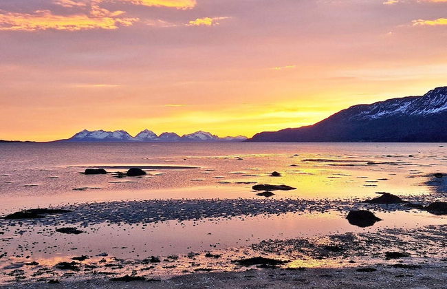 6 Person Holiday Home in Hamnvik - Foto 47