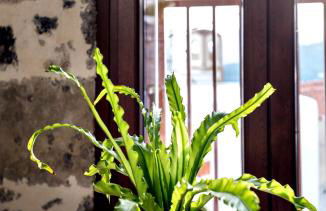 Mirthia Apartments - Photo 8